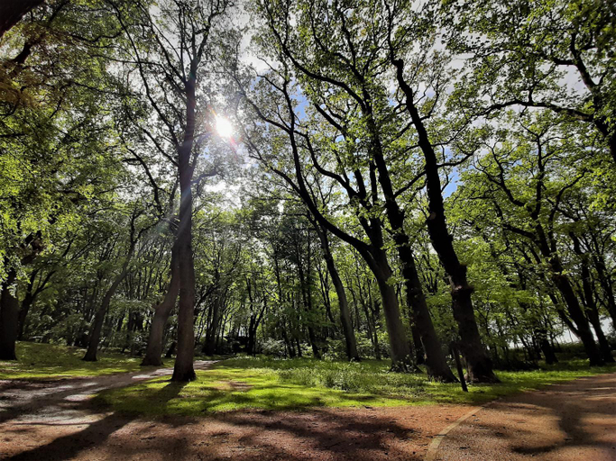Others 5, Domki Ajna Park w uzdrowisku, Kołobrzeg