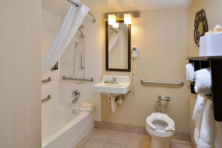 Bathroom 5, Hawthorne Inn and Conference Center, Forsyth