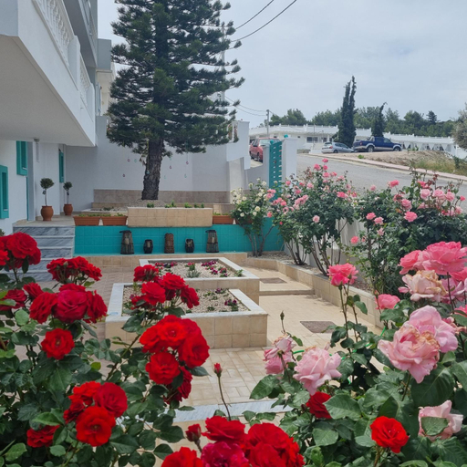 Exterior view 5, Arocaria - Faliraki peaceful apartments, South Aegean