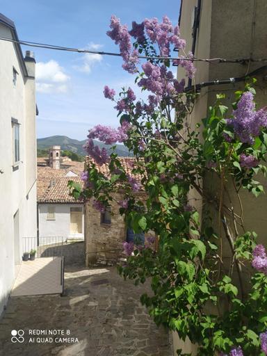 Others 2, Sant'Elia B&B, Cosenza