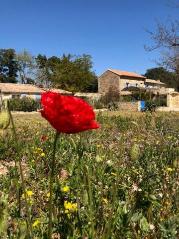 Others 5, mas de costebelle, Vaucluse