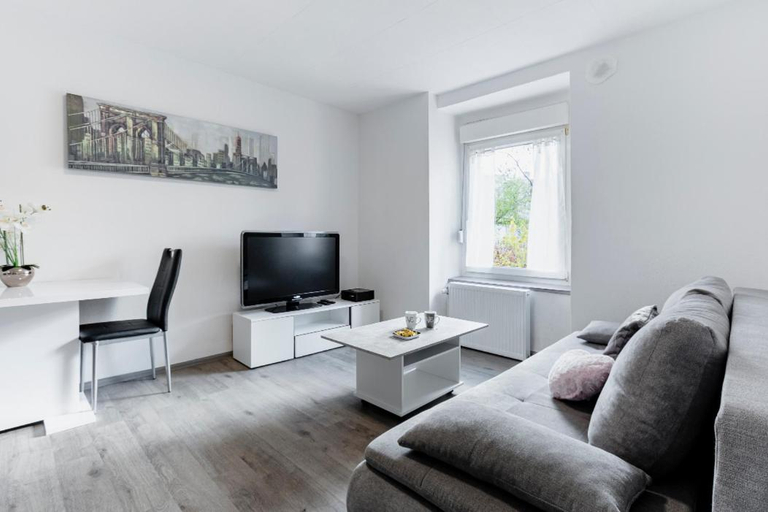 Others 4, MyHome Basel 1A44, Great Location, New Large Apart, Haut-Rhin