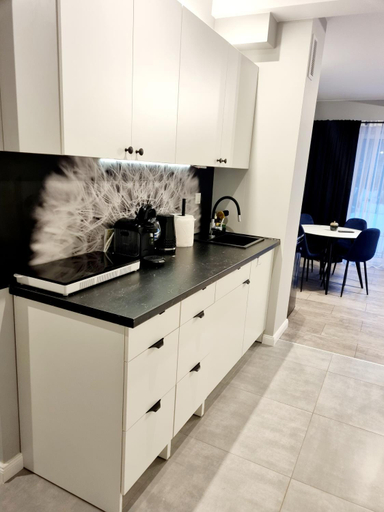 Others 2, Apartamenty Chopina, Jelenia Góra