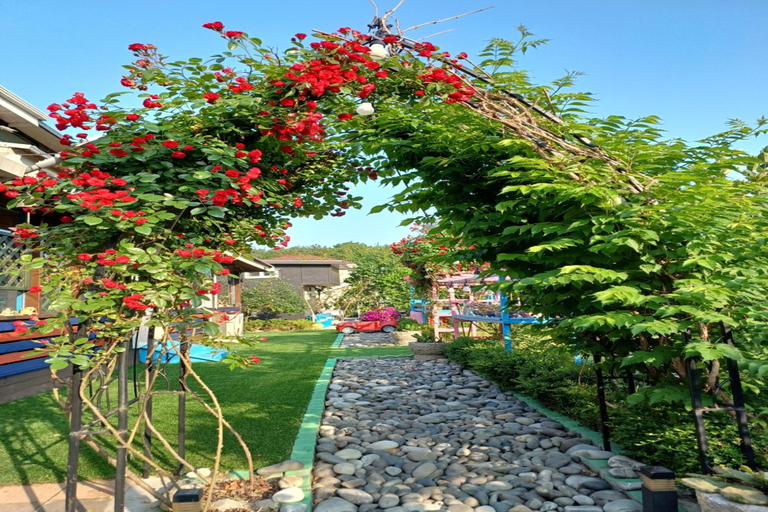 Others 5, Incheon Daebudo (Yeongheungdo) Eunhasu Bed and Breakfast, Ongjin