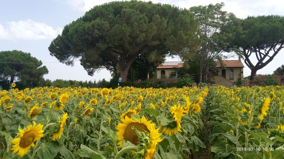 Others 2, Casa del Sole, Livorno