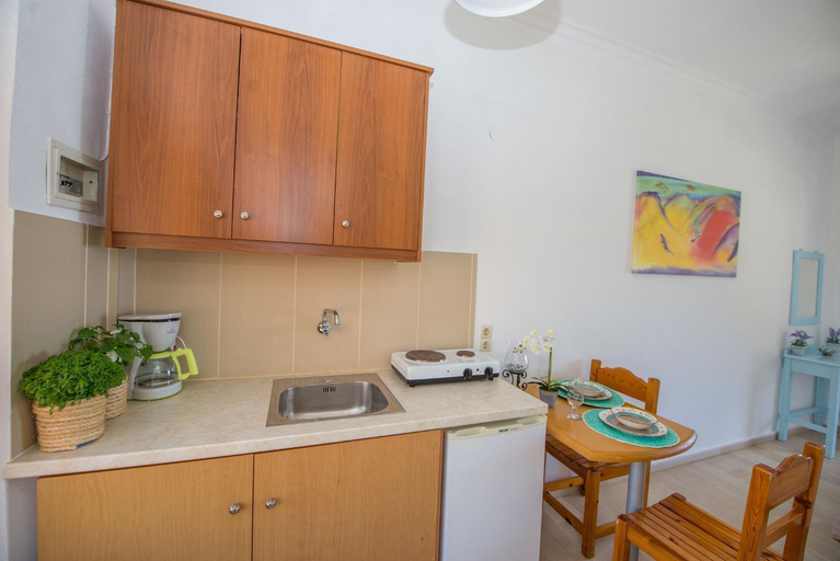 Facilities 3, Spiros and Polyxeni Apartments Afionas, Ionian Islands