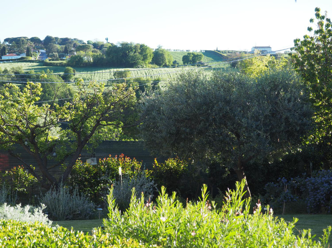Others 4, Aura Relais, Ancona