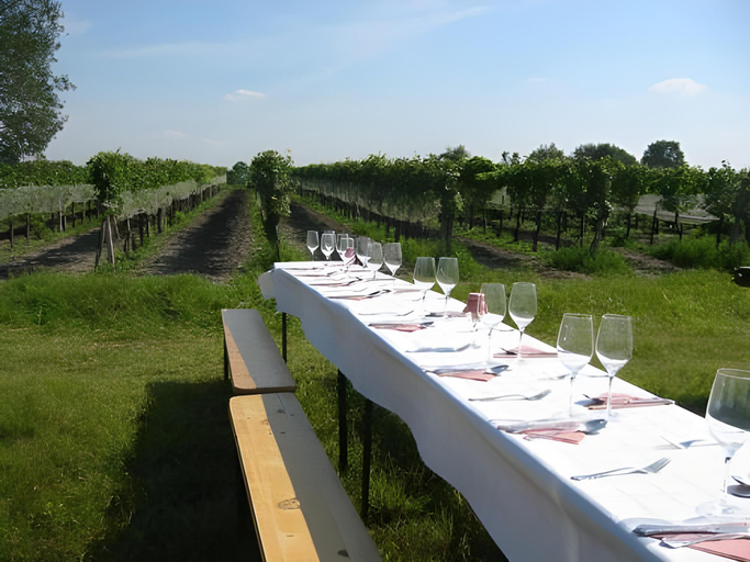 Others 3, Weinidylle Opitz, Neusiedl am See