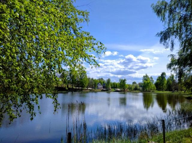 Others 5, OSTOJA PAWIE OKO, Słupsk