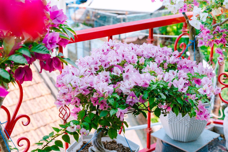 Others 2, Ruby Homestay Phu Yen, Tuy Hoa