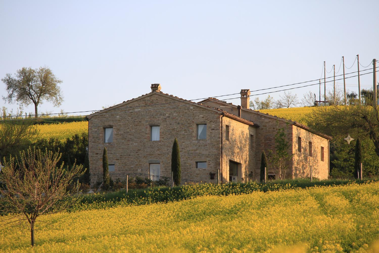Others 3, Agriturismo Colle delle Stelle, Ancona