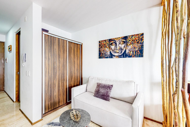 Others 3, Menesse Midtown 2 Unit 208, Cozumel