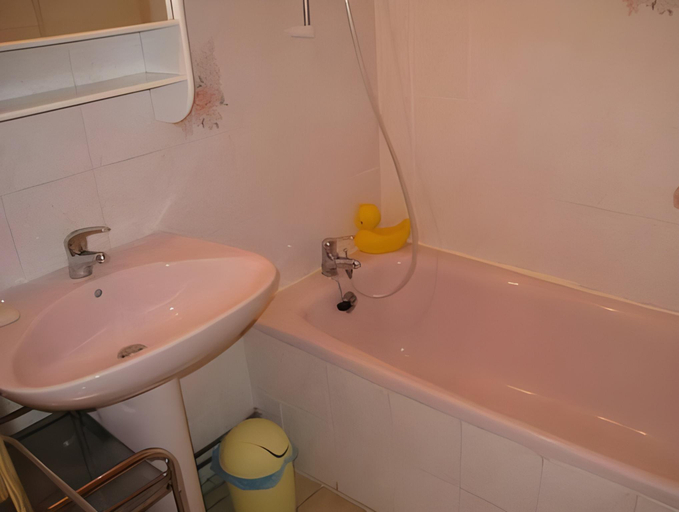 Bathroom 3, Chalet in Saulxures near Ski Resorts, Vosges