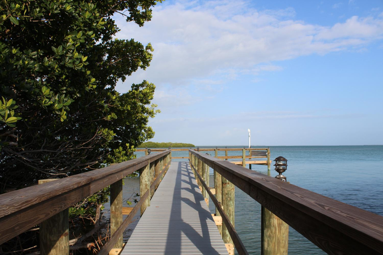 Surrounding environment, Sunshine Key RV Resort & Marina, Monroe