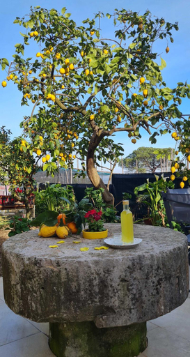 Others 2, RITA HOME B&B SORRENTO, Napoli