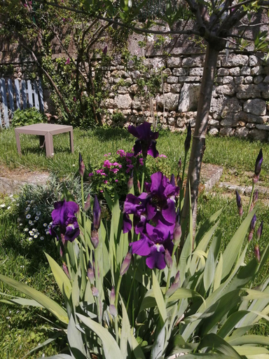 Others 4, Au Logis de Vechillot, Charente