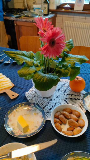 Food & Drinks 5, Villa Cares - Pension mit Tischtennis, Trento