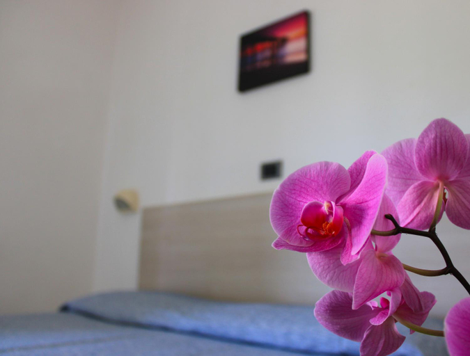 Hotel Puccinelli, Lucca