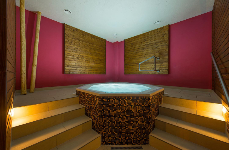 Others 5, Wellness Penzion Smerdzonka - KUPELE PIENINY, Kežmarok