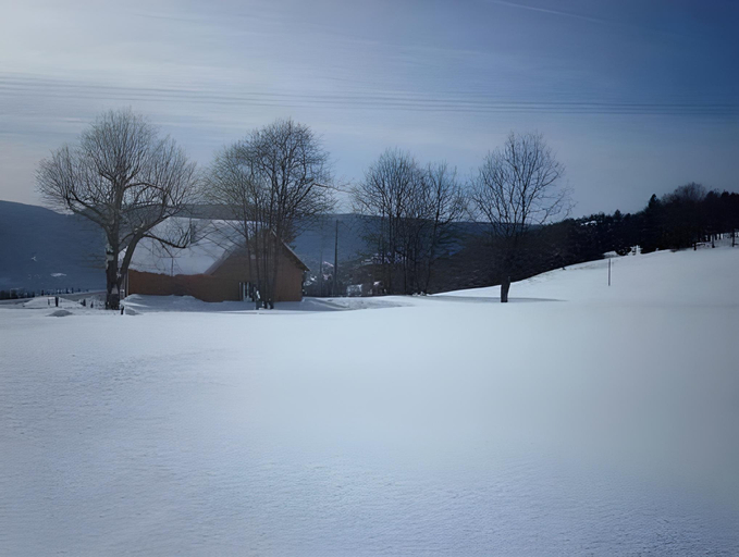 Others 4, Chalet in Saulxures near Ski Resorts, Vosges