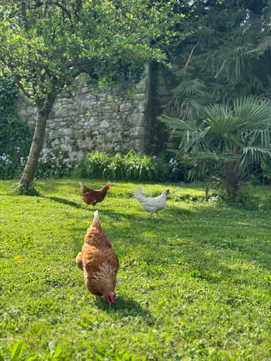 Others 3, B&B Antico Fienile, Gorizia