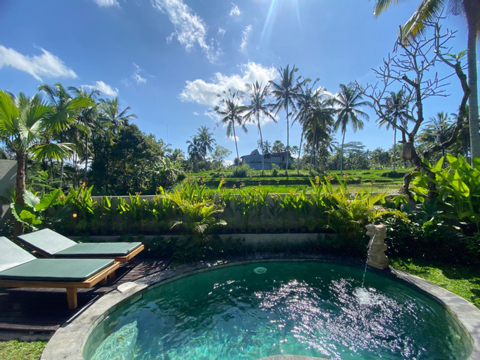 Swimming Pool 5
