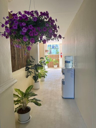 Others 5, L’Oasis Nanai, Phuket Island