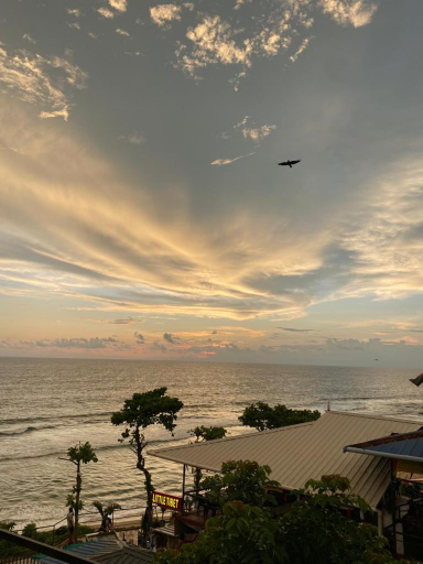 Others 3, Pupa Homestay &Surf school, Thiruvananthapuram