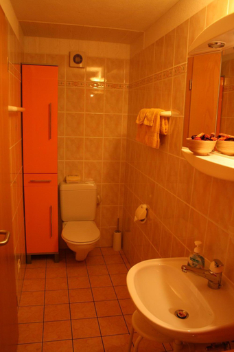 Bathroom 2, B&B Gottardo, Leventina