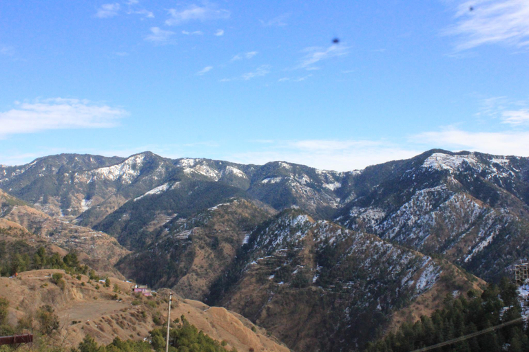 Others 3, Silverpine Apartment & Homestay, Shimla