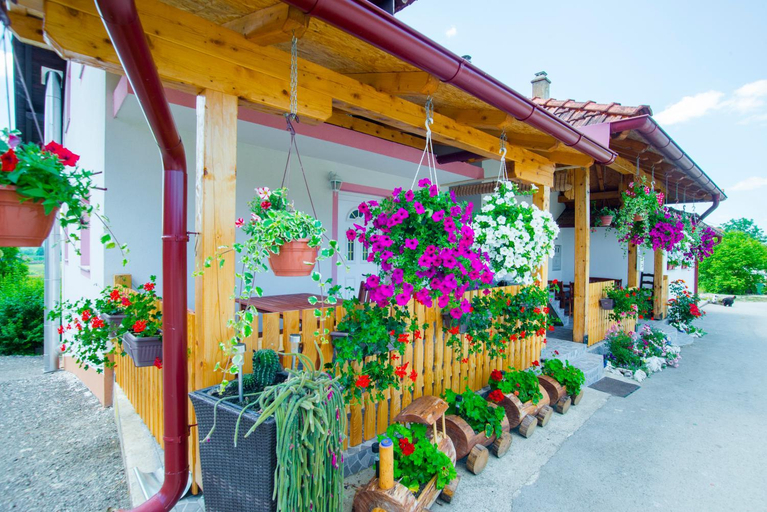 Others 5, Guesthouse Ella, Slunj