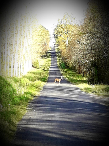 Others 2, B&B chez Annie, Dordogne