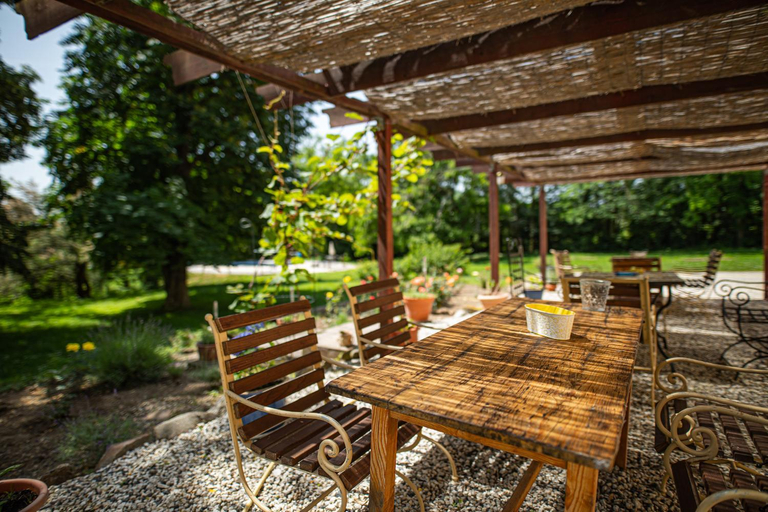 Others 5, Tusculanum Udvarhaz, Tapolca