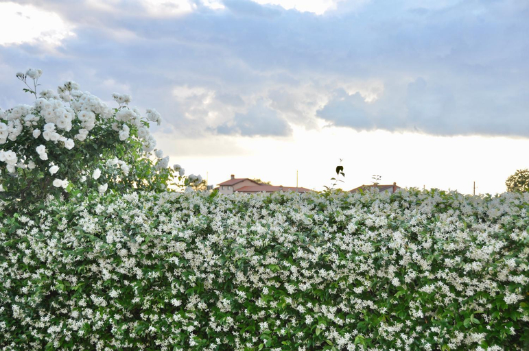 Exterior & Views 4, Apartment in the heart of Brda wine region, Boris and Darinka Marinic, Brda