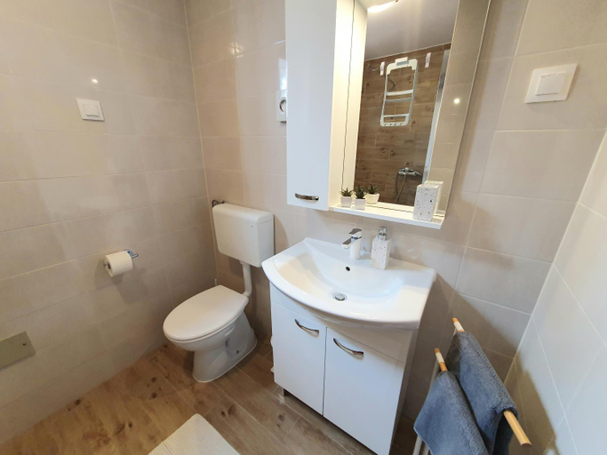 Bathroom 1, Apartments Dejana Stinjan, Pula