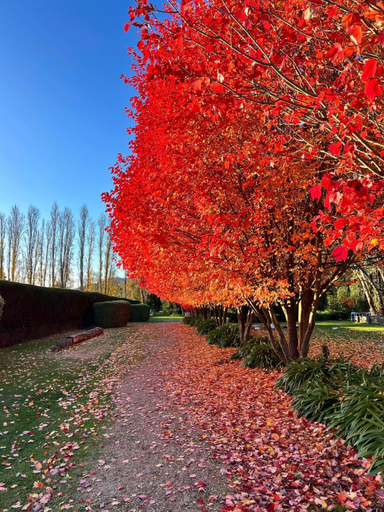 Others 4, Brookfield Guest House, Wangaratta - South