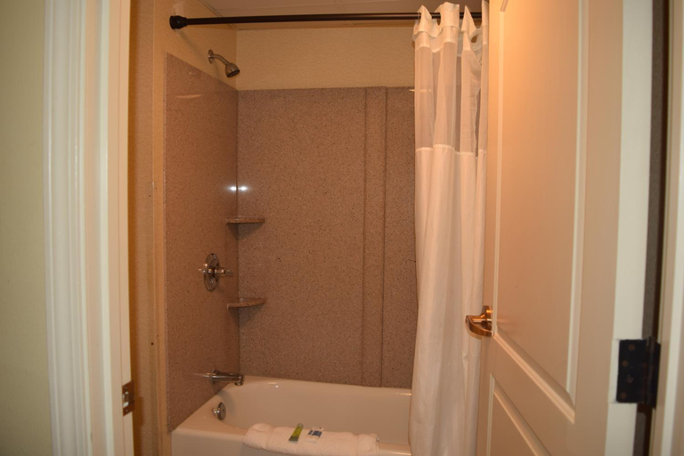 Bathroom 4, Atkinson inn and suites, Robeson