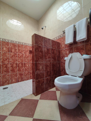 Others 4, Auto Hotel Estrella del Sur, Dist. Ocotlan
