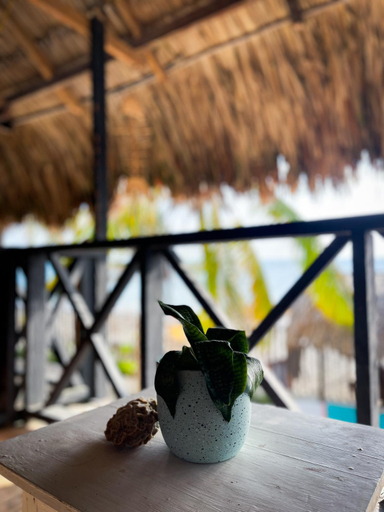 Food & Drinks 4, Palenque Beach House, San Onofre