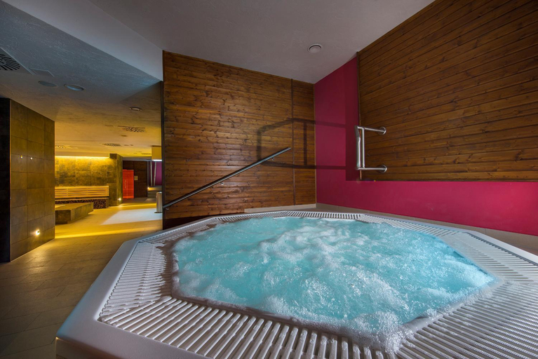 Others 4, Wellness Penzion Smerdzonka - KUPELE PIENINY, Kežmarok