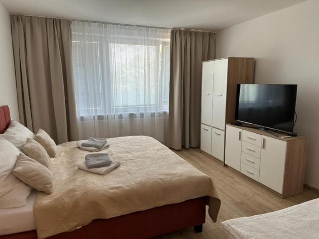 Others 4, Sunny House Two, Bratislava V
