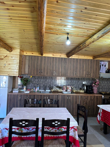 Others 4, Shtepi Druri Arber, Korçës