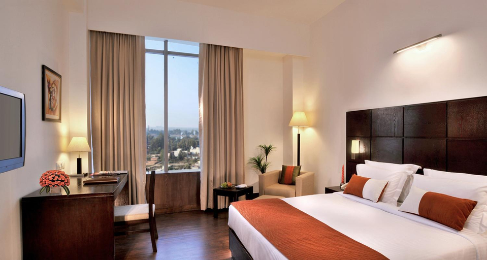 Others 2, Comfort INN Tulip Heights, Bathinda
