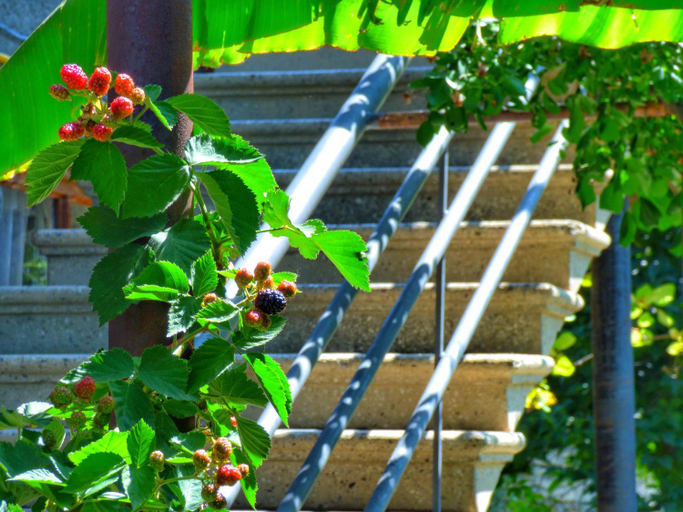 Others 3, Veli Guest House • საოჯახო სასტუმრო ველი, Akhmeta