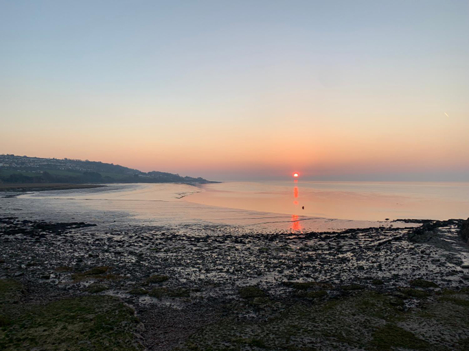 Others 4, Redcliffe View - Shared Homestay with Resident Show Dogs, North Somerset