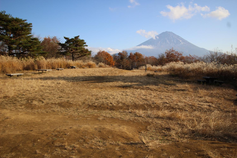 Others 4, 八-Hachi- Accommodation, Fujikawaguchiko
