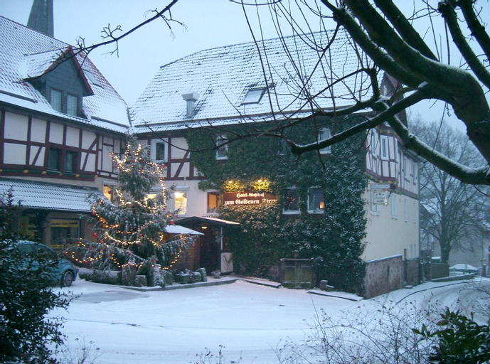 Fritz'es Goldener Stern, Kassel