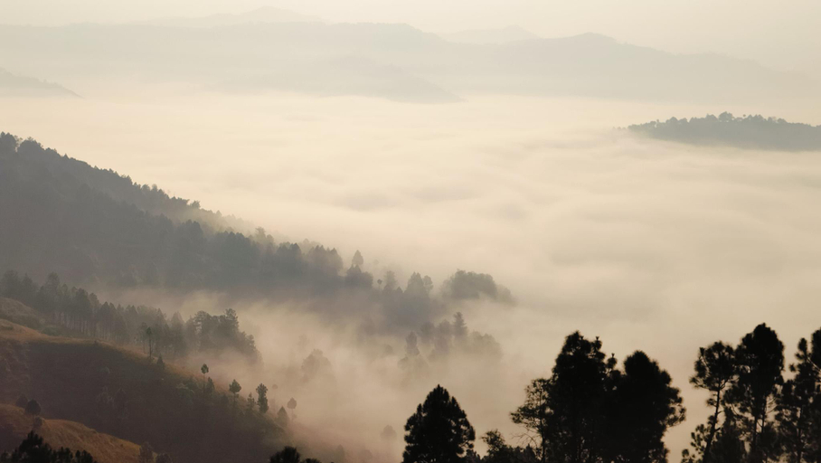 Others 5, Adaara Retreat - Pet Friendly Cottages, Almora