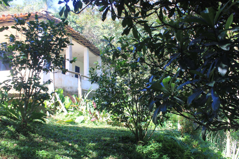 Others 2, Chale na floresta com frigobar, Ouro Preto