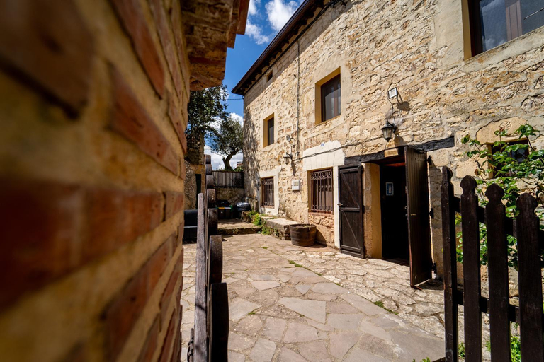 Others 4, Hostel Atapuerca INpulso, Burgos